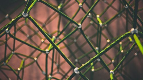 Green rope meshwork