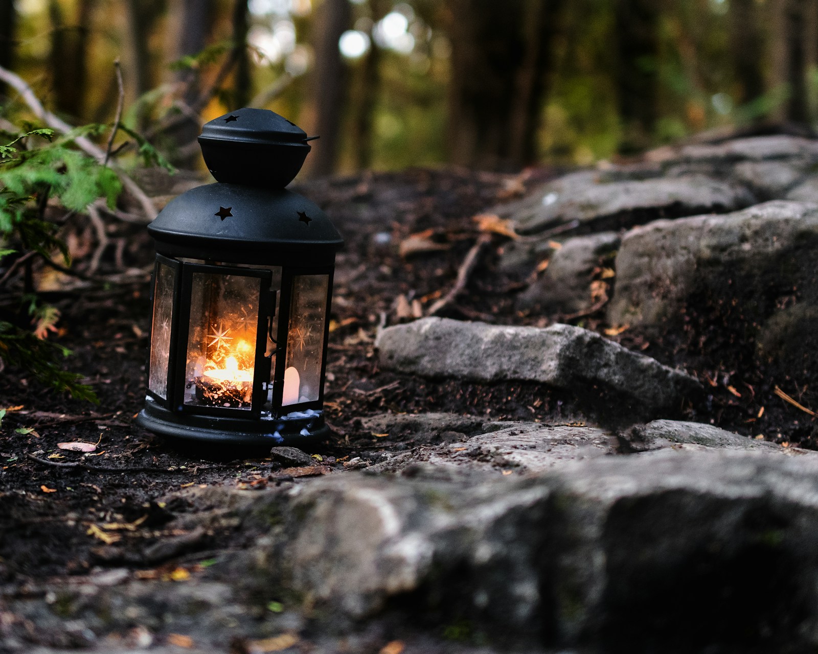 Lantern with a lit candle inside it that I came across in the forest while hiking